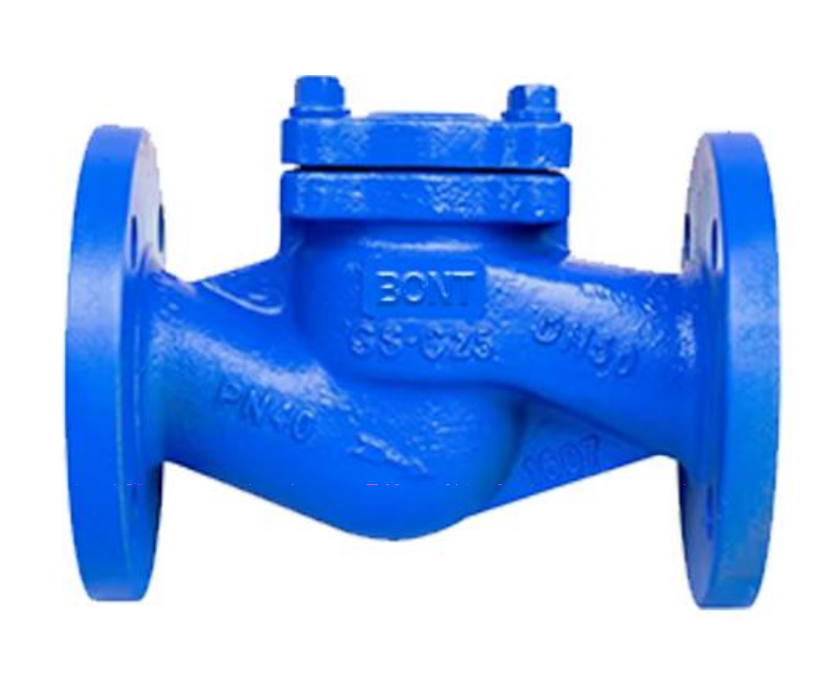 BONT LIFT CHCEK VALVE PN40