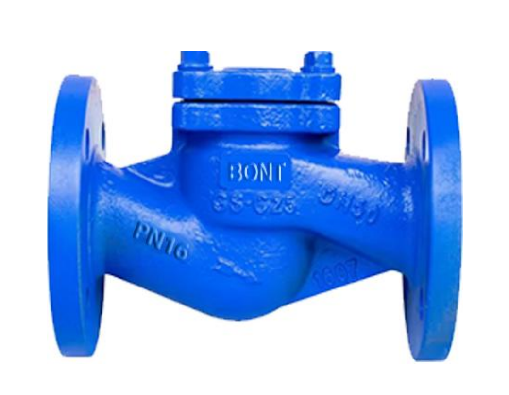 BONT LIFT CHECK VALVE PN16