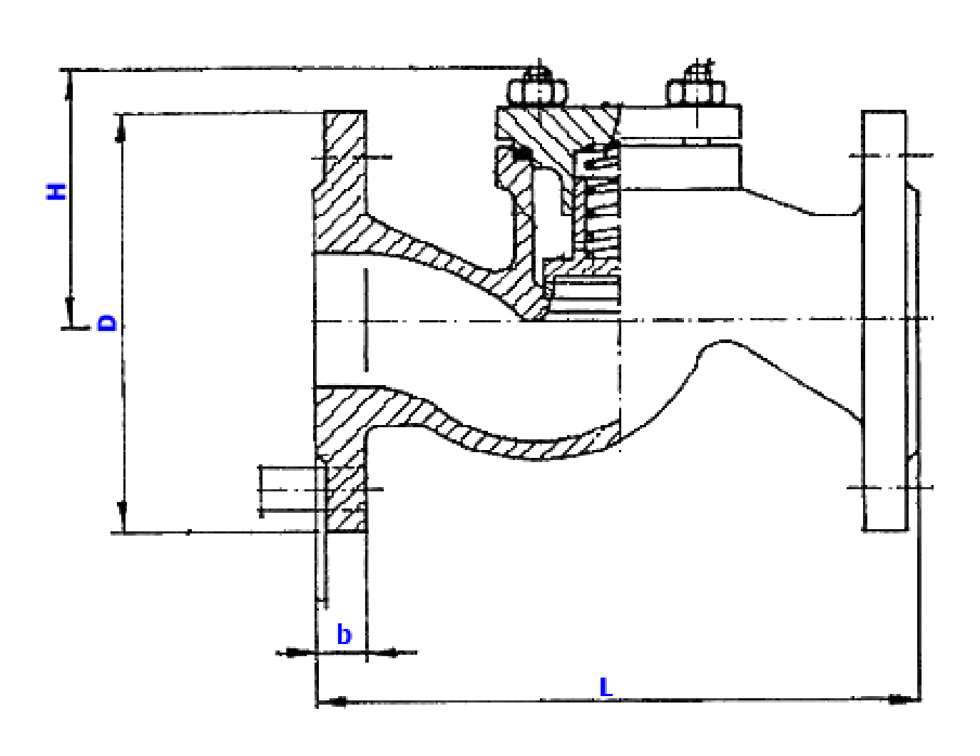 BONT LIFT CHCEK VALVE PN40